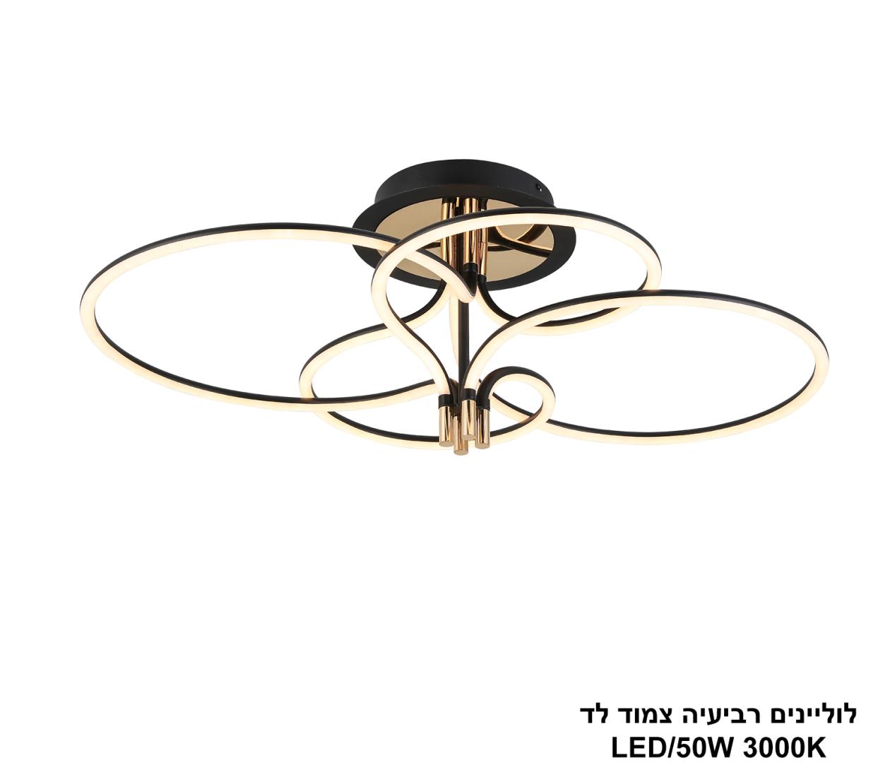 לוליינים רביעיה צמוד לד לוליינים רביעיה צמוד לד